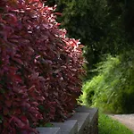 Camino Real Hétvégi ház *