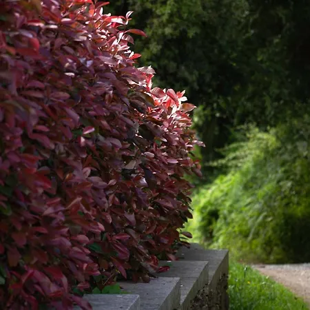 Camino Real Country house *