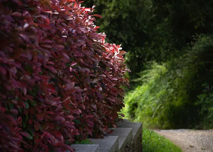 Camino Real Εξοχικό σπίτι *